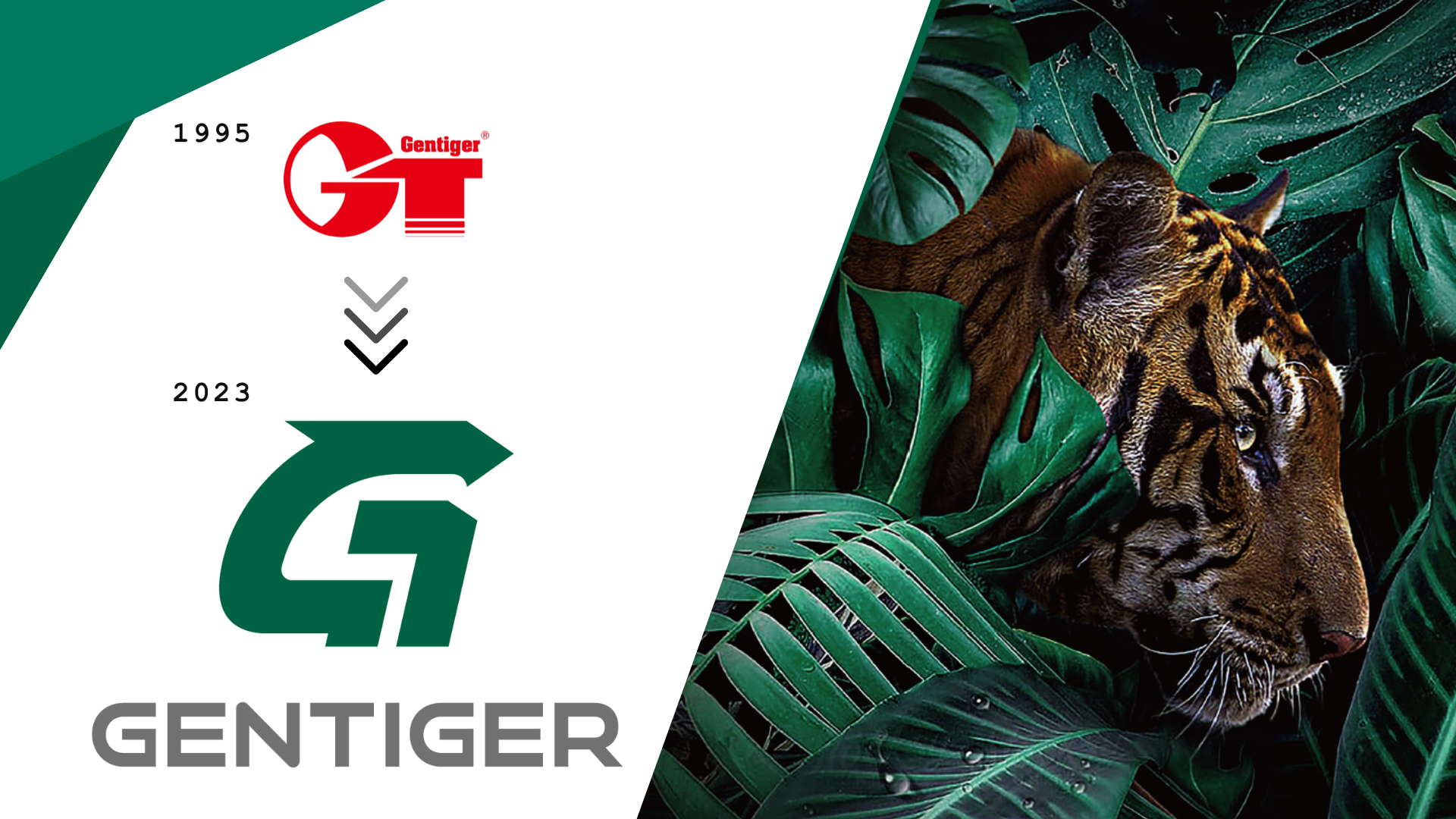 News|Re-branding of Gentiger Machinery Industrial Co., Ltd.