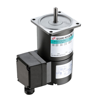 Magnetic Brake Motors &Gear Motors-Brake Motor & Gear Motors-Terminal Box Type 6W-90W