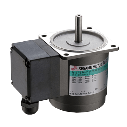 Torque Motors-Terminal Box Type 3W-40W