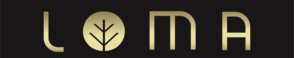 About|LOTUS INNOVATION TECHNOLOGY CO., LTD.
